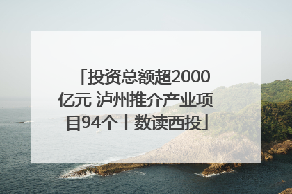 投资总额超2000亿元 泸州推介产业项目94个丨数读西投