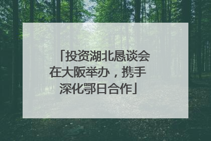 投资湖北恳谈会在大阪举办，携手深化鄂日合作