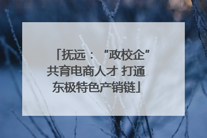 抚远：“政校企”共育电商人才 打通东极特色产销链