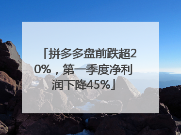 拼多多盘前跌超20%，第一季度净利润下降45%