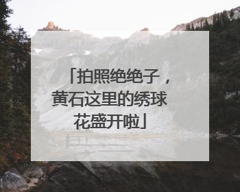 拍照绝绝子，黄石这里的绣球花盛开啦