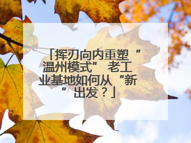 挥刃向内重塑“温州模式” 老工业基地如何从“新”出发？