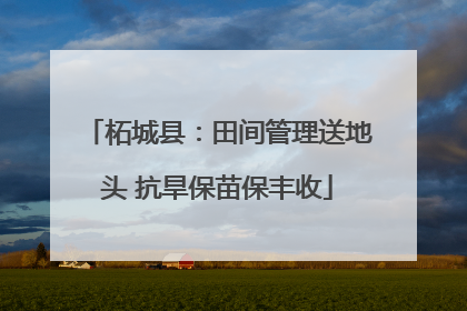 柘城县：田间管理送地头 抗旱保苗保丰收