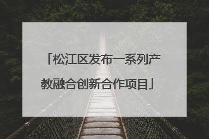 松江区发布一系列产教融合创新合作项目