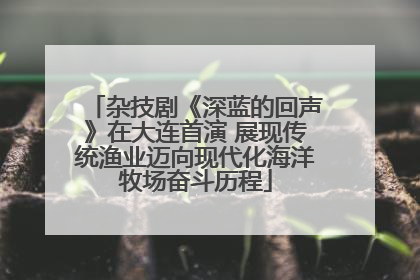 杂技剧《深蓝的回声》在大连首演 展现传统渔业迈向现代化海洋牧场奋斗历程