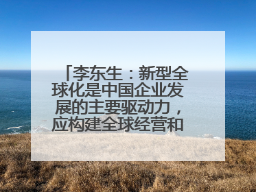 李东生：新型全球化是中国企业发展的主要驱动力，应构建全球经营和供应链体系