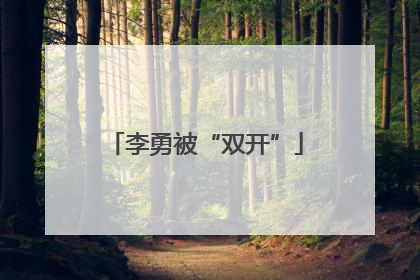 李勇被“双开”