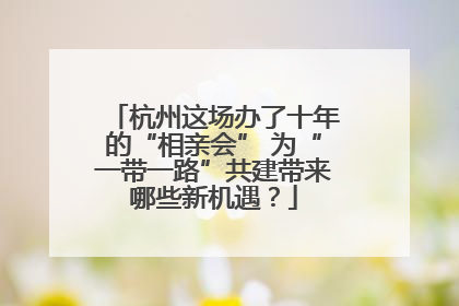 杭州这场办了十年的“相亲会” 为“一带一路”共建带来哪些新机遇？