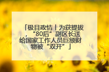 极目政情丨为获提拔，“80后”副区长送给国家工作人员巨额财物被“双开”