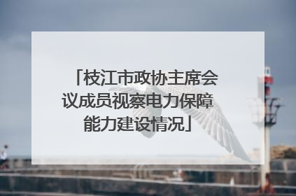 枝江市政协主席会议成员视察电力保障能力建设情况