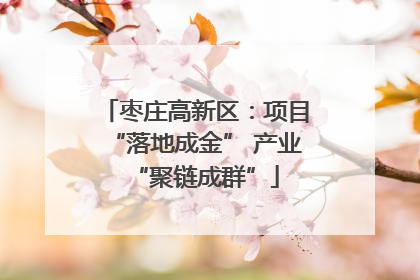 枣庄高新区：项目“落地成金” 产业“聚链成群”