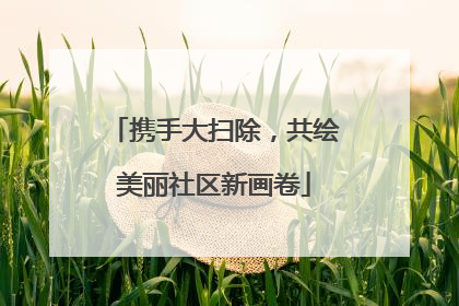 携手大扫除，共绘美丽社区新画卷