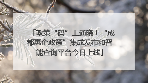 政策“码”上通晓！“成都惠企政策”集成发布和智能查询平台今日上线