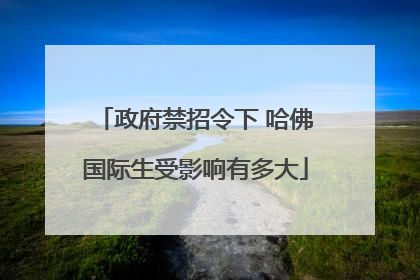 政府禁招令下 哈佛国际生受影响有多大