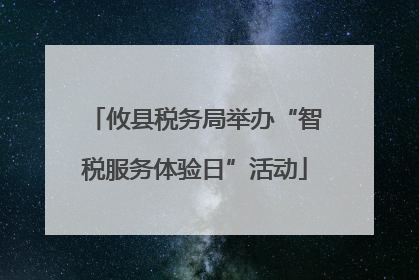 攸县税务局举办“智税服务体验日”活动