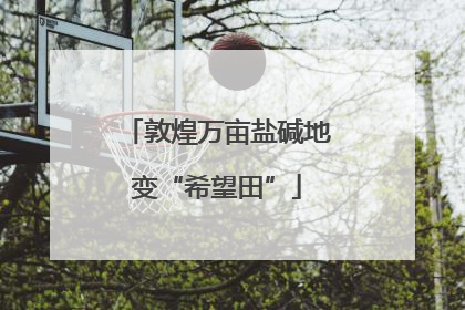 敦煌万亩盐碱地变“希望田”