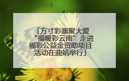 方寸彩票聚大爱 “福暖彩云南”走进福彩公益金资助项目活动在曲靖举行