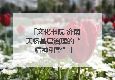 文化书院 济南天桥基层治理的“精神引擎”