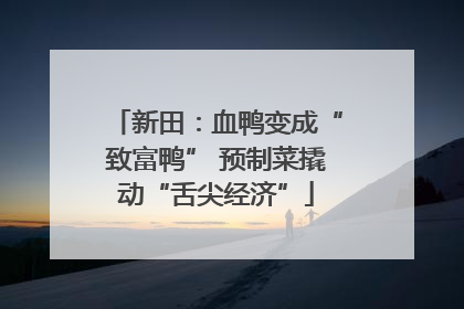 新田：血鸭变成“致富鸭” 预制菜撬动“舌尖经济”