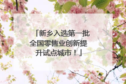 新乡入选第一批全国零售业创新提升试点城市！