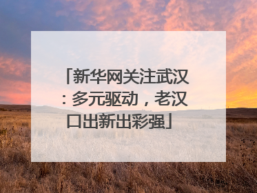 新华网关注武汉：多元驱动，老汉口出新出彩强