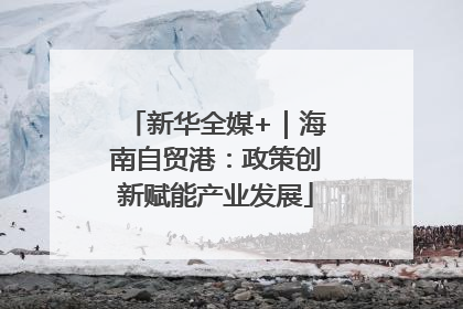 新华全媒+｜海南自贸港：政策创新赋能产业发展