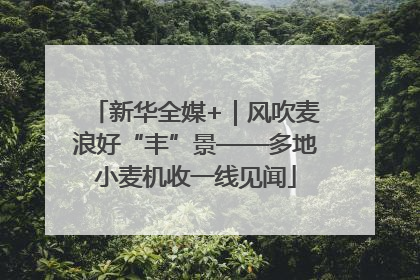 新华全媒+｜风吹麦浪好“丰”景——多地小麦机收一线见闻