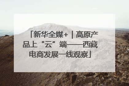 新华全媒+｜高原产品上“云”端——西藏电商发展一线观察