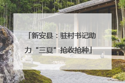新安县：驻村书记助力“三夏”抢收抢种