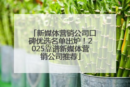 新媒体营销公司口碑优选名单出炉！2025靠谱新媒体营销公司推荐