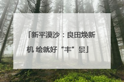 新平漠沙：良田焕新机 绘就好“丰”景