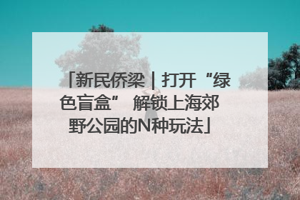 新民侨梁｜打开“绿色盲盒” 解锁上海郊野公园的N种玩法