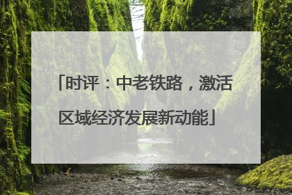 时评：中老铁路，激活区域经济发展新动能