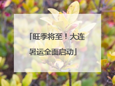 旺季将至！大连暑运全面启动
