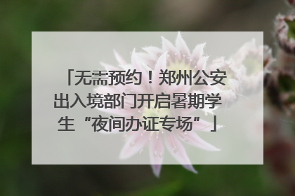 无需预约！郑州公安出入境部门开启暑期学生“夜间办证专场”