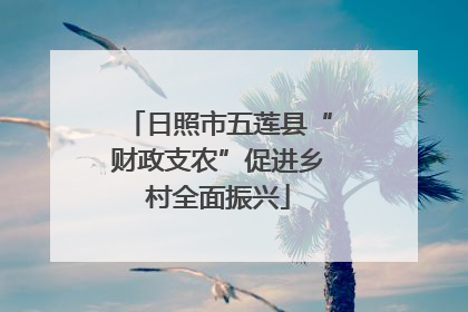 日照市五莲县“财政支农”促进乡村全面振兴