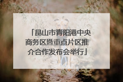 昆山市青阳港中央商务区暨重点片区推介合作发布会举行