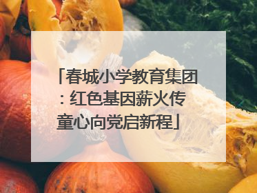春城小学教育集团：红色基因薪火传 童心向党启新程