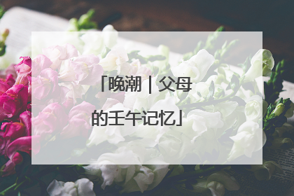 晚潮｜父母的壬午记忆