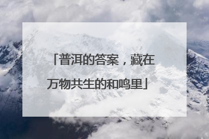 普洱的答案，藏在万物共生的和鸣里