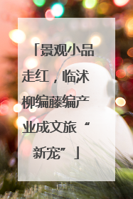 景观小品走红，临沭柳编藤编产业成文旅“新宠”