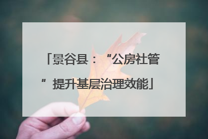 景谷县：“公房社管”提升基层治理效能
