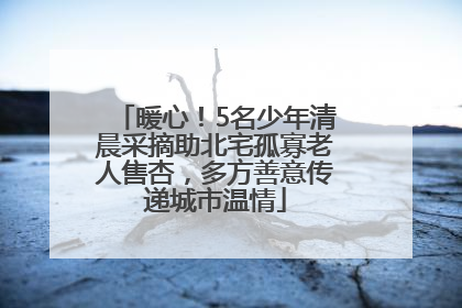 暖心！5名少年清晨采摘助北宅孤寡老人售杏，多方善意传递城市温情