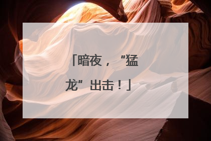 暗夜，“猛龙”出击！