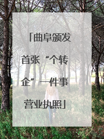 曲阜颁发首张“个转企”一件事营业执照
