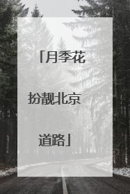 月季花扮靓北京道路