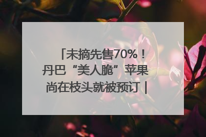 未摘先售70%！丹巴“美人脆”苹果尚在枝头就被预订｜长征路上看四川
