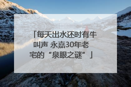 每天出水还时有牛叫声 永嘉30年老宅的“泉眼之谜”