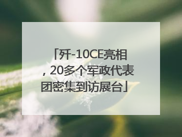 歼-10CE亮相，20多个军政代表团密集到访展台