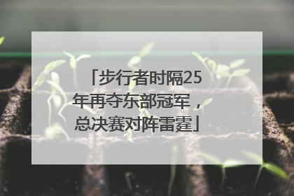 步行者时隔25年再夺东部冠军，总决赛对阵雷霆